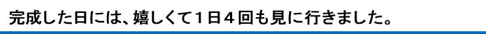 完成した日には、嬉しくて１日４回も見に行きました。